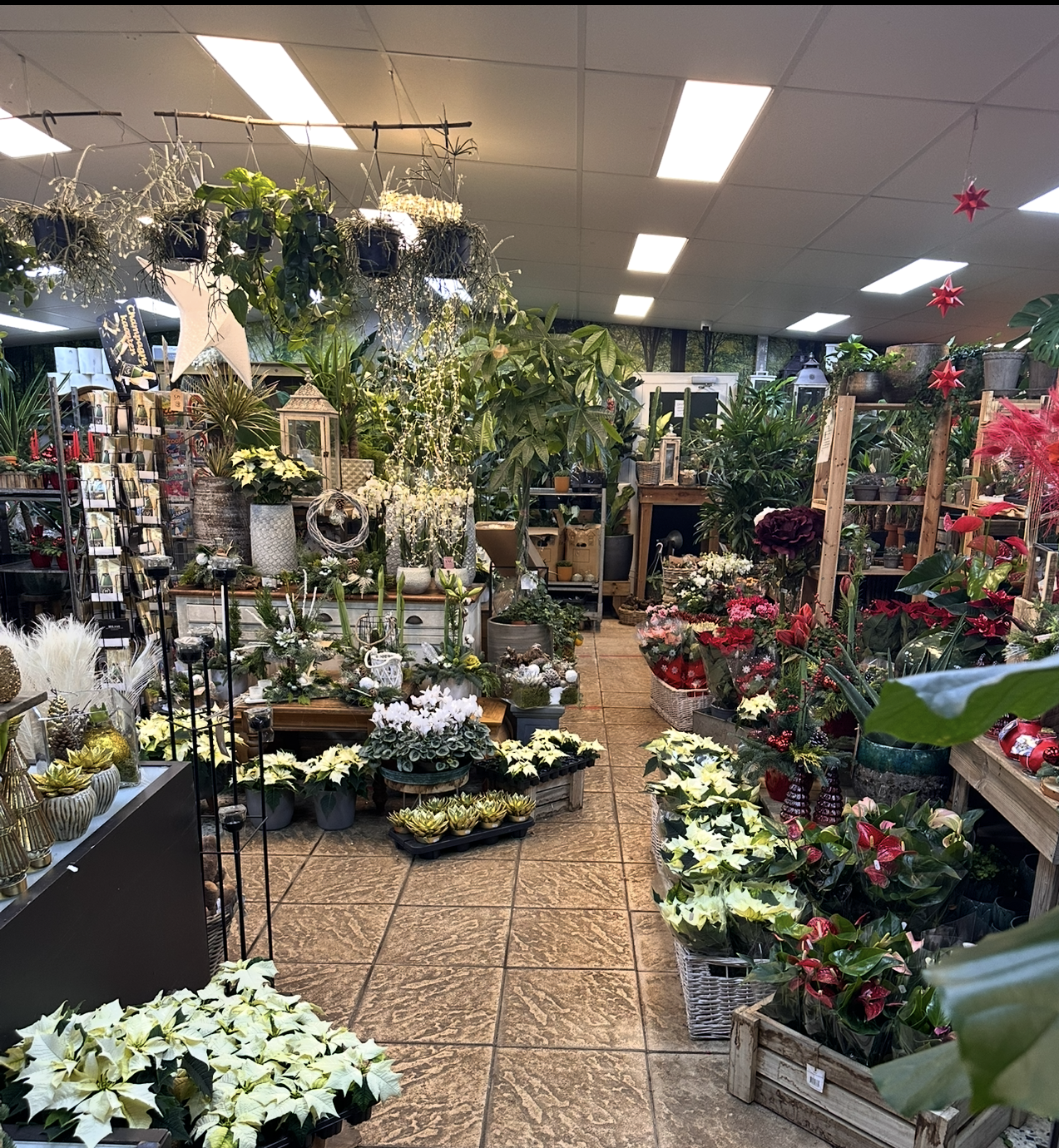 Bloemisterij van de Pol, winkel